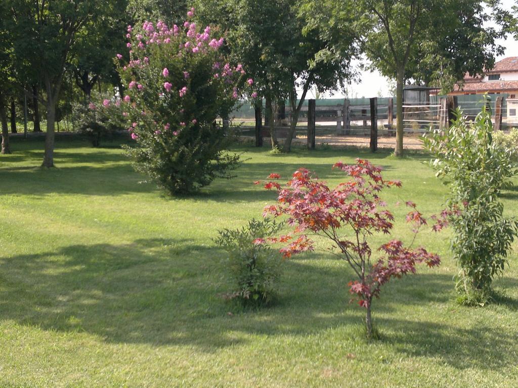 Agriturismo Arte Contadina Фьоренцуола-д'Арда Экстерьер фото